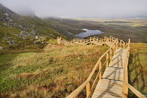 Ireland, County Fermanagh, Cuilcagh Mountain Park, Legnabrocky Trail to summit of Cuilcagh Mountain.