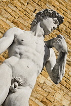 Italy, Tuscany, Florence, Piazza della Signoria, Replica of the famous David statue by Michelangelo with the Palazzo Vecchio as background.