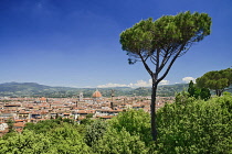 Italy, Tuscany, Florence, View of the city from Forte Belvedere near Boboli Gardens.