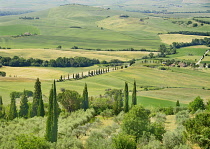 Italy, Tuscany, Val D'Orcia, Pienza, View of surrounding Tuscan countryside from its walls with cypress trees olive groves and wheatfields.