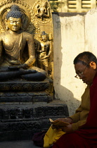 India, Bihar, Bodhgaya, Buddhist monk sitting beside seated golden Buddha figure on raised stone platform reading texts.