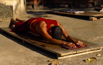 India, Bihar, Bodhgaya , Buddhist devotee lying face down on the ground in prostration.