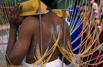 Singapore, Thaipusam, Murugan Temple Tank Road a.m. Man with chains pierced in back carrying Kavadi .