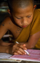 Thailand, Wat Phra Acha Tong, Young novice Buddhist monk from The Golden Horse Forest Monastery studying.