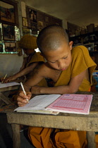 Thailand, Wat Phra Acha Tong, Young novice Buddhist monk from The Golden Horse Forest Monastery studying at desk.