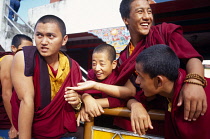 India, Sikkim, Rumtek, Group of laughing young monks at Rumtek monastery.