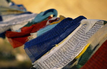 India, Ladakh, Leh, Close view of Buddhist prayer flags.