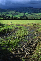 England, Cumbria, Lake District, View across green field with tractor tire tread marks on mud from Blencathra centre towards Saddle Beck and Lowrigg.