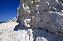 England, East Sussex, Seven Sisters, Detail at the base of chalk cliff face.