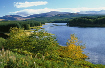 Scotland, Highlands, Loch Maree View over trees towards Loch Laggan with forest and Grampian mountains in the distance.