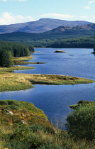 Scotland, Highlands, Loch Maree, View over trees towards Loch Laggan with forest and Grampian mountains in the distance.