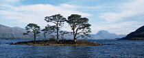 Scotland, Highlands, Loch Maree, View across Loch Maree towards a small island with trees growing on it. Slioch mountain in the distance.