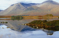 Scotland, Argyll and Bute, Rannoch Moor, Loch Na H Achlaise at Rannoch Moor, Mountains reflected in water with trees growing on small island.