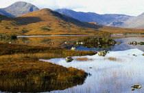 Scotland, Argyll and Bute, Rannoch Moor, Loch Na H Achlaise at Rannoch Moor, View across water with mountains in the distance.