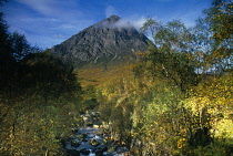 Scotland, Argyll and Bute, Glen Etive, Off Glen Coe, Stob Derag Mountain seen from amongst trees and a stream.