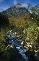 Scotland, Argyll and Bute, Glen Etive, Off Glen Coe. Stob Derag Mountain seen from amongst trees and a stream.