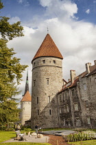 Estonia, Tallinn, Towers in the Old Town.