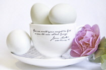 Festivals, Religious, Easter, Studio shot of eggs on ceramic cup and saucer with pink camellia flower.
