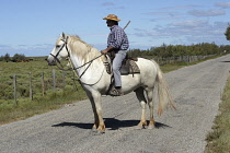France, Bouches du Rhone 13, Camargue, Traditional Gardian Camargue cowboy on white horse.