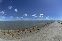 France, Bouches du Rhone 13, Camargue, Panaramic view of Camargue Rhone Delta.