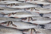 Ireland, North, Belfast, St George's Market interior, Display of fresh Herring fish on ice.