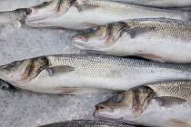 Ireland, North, Belfast, St George's Market interior, Display of fresh Herring fish on ice.