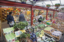 Holland, North, Amsterdam, Tourists in the Flower market buying seeds etc.
