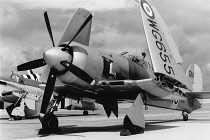 Transport, Air, Royal Navy Hawker Sea Fury at air show in RAF Culdrose.