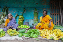 India, Tamil Nadu, Chidambaram, Banana vendors in the market at Chidambaram.
