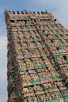 India, Tamil Nadu, Kumbakonam, The gopuram at the Adi Kumbeswarar temple.