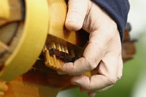 England, Kent, Replica Hurdy-gurdy being played by historical re-enactment group.