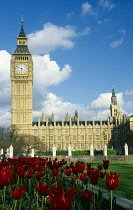 England, London, Westminster, Parliament Buildings and Gardens.