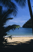 Australia, Queensland, Great Barrier Reef, Dunk Island view from between palm trees towards sand and sea.