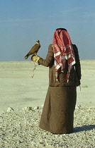 Qatar, General, Man with falcon on glove during desert expedition.