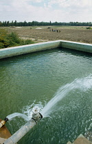 Qatar, General, Water pouring into an irrigation pool beside vegetable fields.