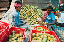 India, West Bengal, Kolkata, Men sort oranges at the fruit wholesalers market.