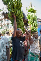 India, West Bengal, Kolkata, Bananas are auctioned at the fruit wholesalers market.