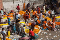 India, West Bengal, Kolkata, Malik Ghat flower market.