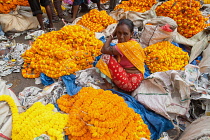 India, West Bengal, Kolkata, Vendor at Malik Ghat flower market.