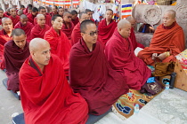 India, Bihar, Bodhgaya, Buddhist monks praying at the Mahabodhi Temple at Bodh.