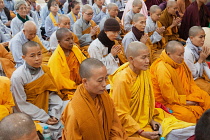 India, Bihar, Bodhgaya, Buddhist monks praying at the Mahabodhi Temple at Bodh.