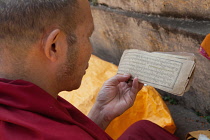 India, Bihar, Bodhgaya, A Buddhist monk reading a Tibetan prayer card at the Mahabodhi Temple at Bodh.