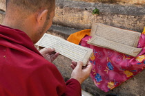 India, Bihar, Bodhgaya, A Buddhist monk reading a Tibetan prayer card at the Mahabodhi Temple at Bodh.