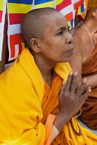 India, Bihar, Bodhgaya, A female Buddhist monk prays at the Mahabodhi Temple at Bodh.