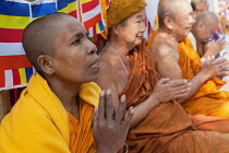 India, Bihar, Bodhgaya, A female Buddhist monk prays at the Mahabodhi Temple at Bodh.