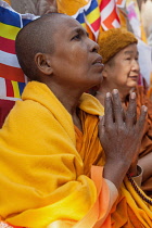 India, Bihar, Bodhgaya, A Buddhist female monk prays at the Mahabodhi Temple in Bodh.
