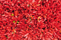 Italy, Trentino Alto Adige, Bolzano, chillies, Market on Piazza Erbe.