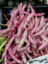 Italy, Trentino Alto Adige, Bolzano, Berloti beans, Market on Piazza Erbe.