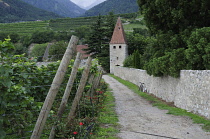 Italy, Trentino Alto Adige, Bressanone, Novella Monastery, vineyards & monastery.