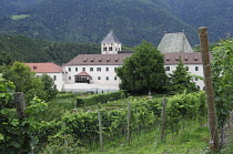 Italy, Trentino Alto Adige, Bressanone, Novella Monastery, vineyards & monastery.